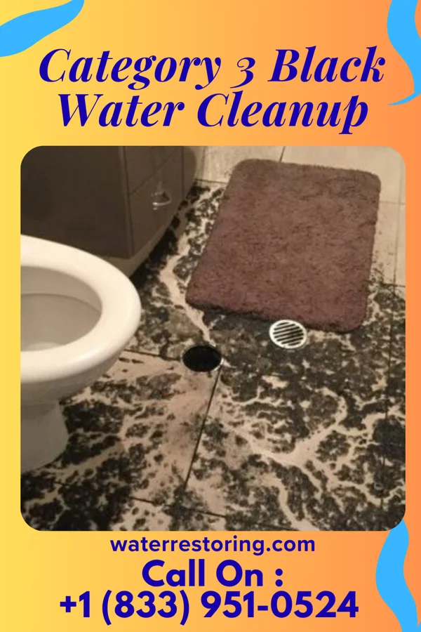 Category 3 Black Water Cleanup in Heritage Lake, IL
