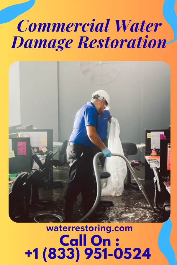 Commercial Water Damage Restoration in Heritage Lake, IL