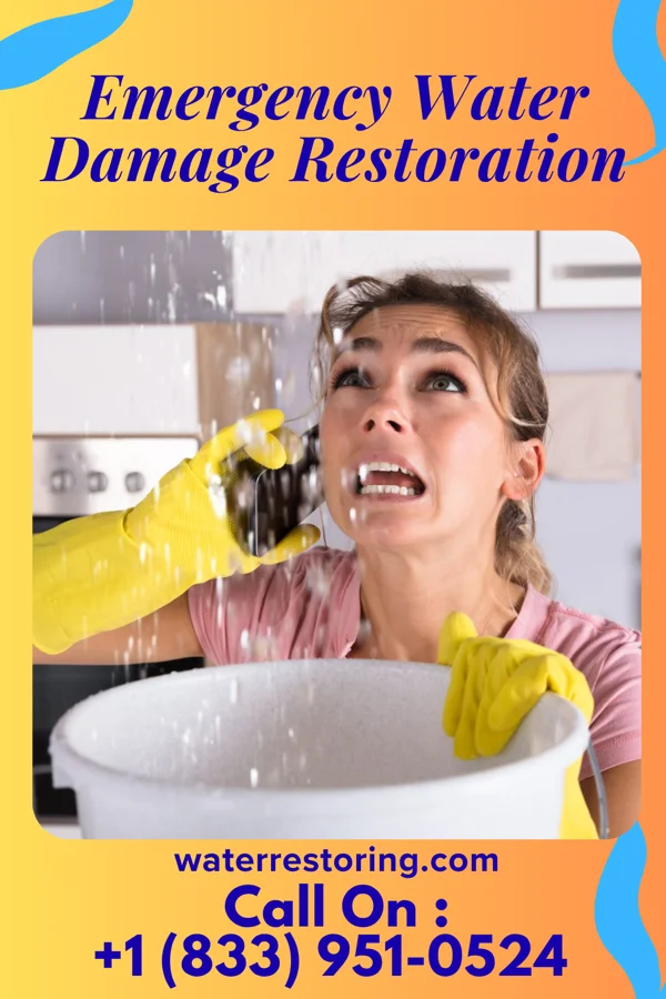 Emergency Water Damage Restoration in Heritage Lake, IL