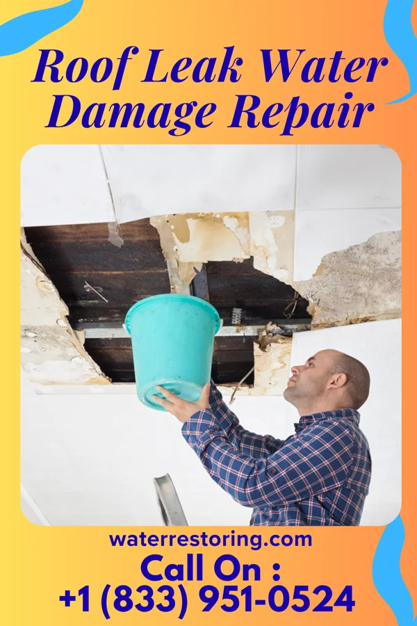 Roof Leak Water Damage Repair in Heritage Lake, IL