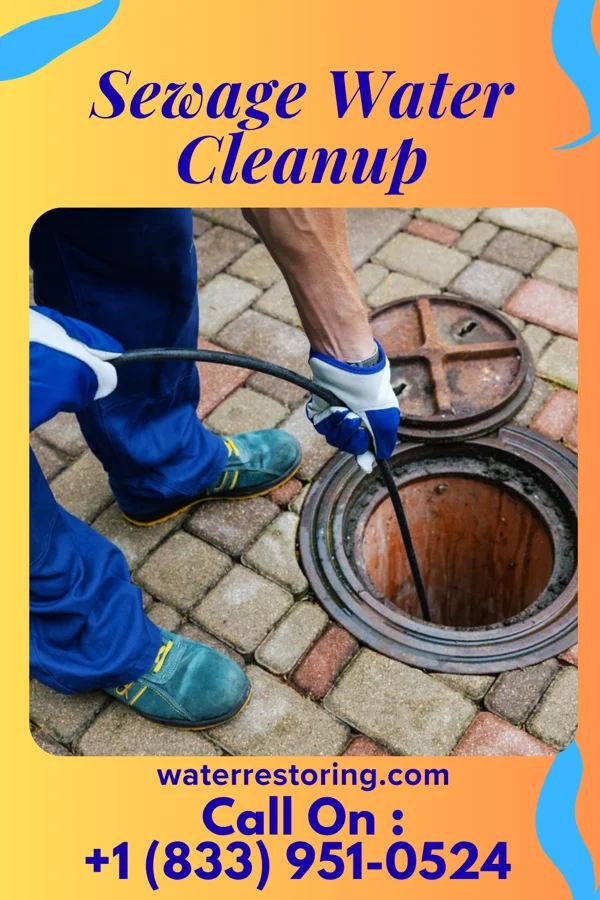 Sewage Water Cleanup in Heritage Lake, IL