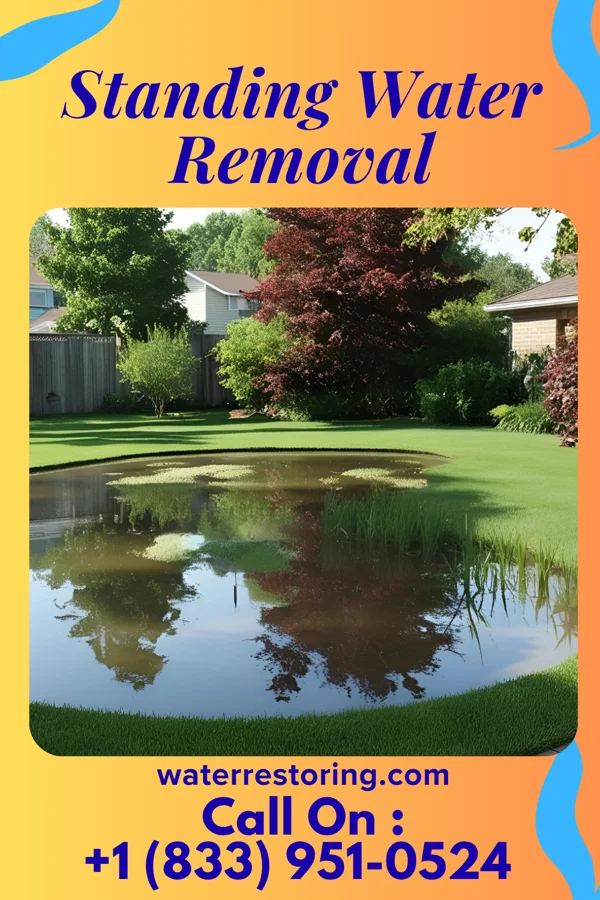 Standing Water Removal in Heritage Lake, IL